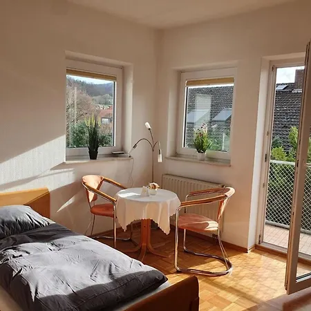 Abm 1 Og Fur 14 Personen Apartment Zwingenberg (Hessen)